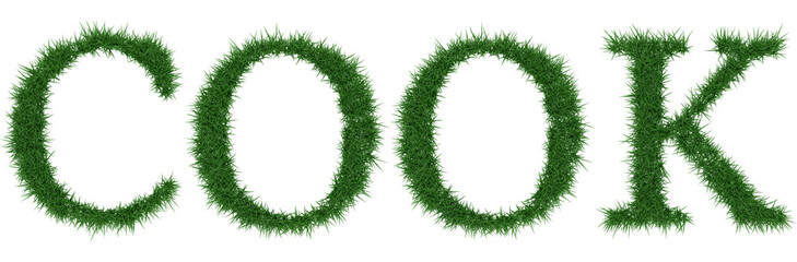 Cook - 3D rendering fresh Grass letters isolated on whhite background.