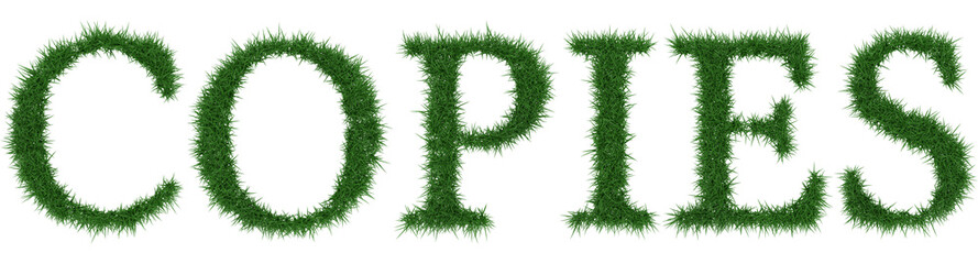 Copies - 3D rendering fresh Grass letters isolated on whhite background.