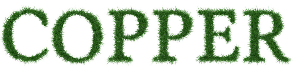 Copper - 3D rendering fresh Grass letters isolated on whhite background.