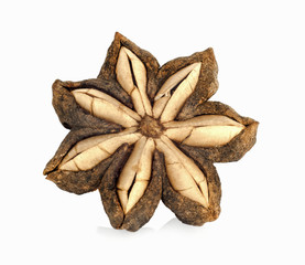 Sacha inchi peanut seed isolate on white background