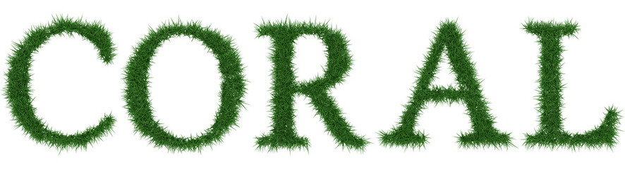 Coral - 3D rendering fresh Grass letters isolated on whhite background.