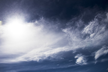 Sunlight enlightens the scene.