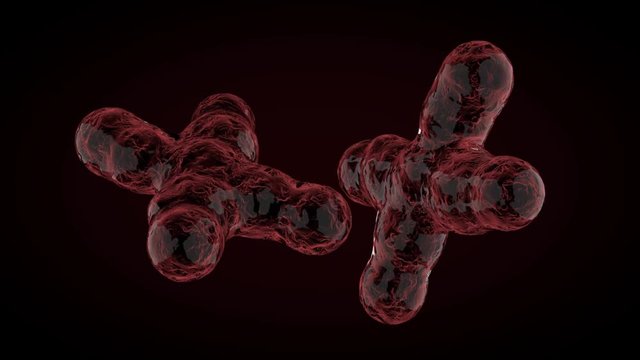 Animated XY-chromosomes on dark background. 3D rendering