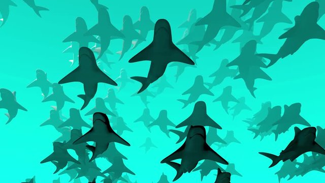 School of sharks swimming in dense aquamarine sea, ocean water. 3d animation. Front bottom view from underside. Medium dense population