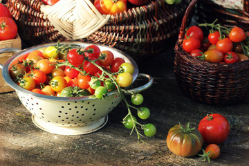 Heirloom variety tomatoes in baskets on rustic table. Colorful tomato - red,yellow , orange. Harvest vegetable cooking conception. Full baskets of tometoes in green background