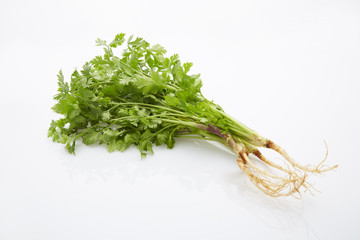 coriander