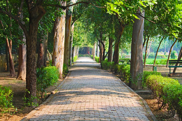 jogging pathway in a park