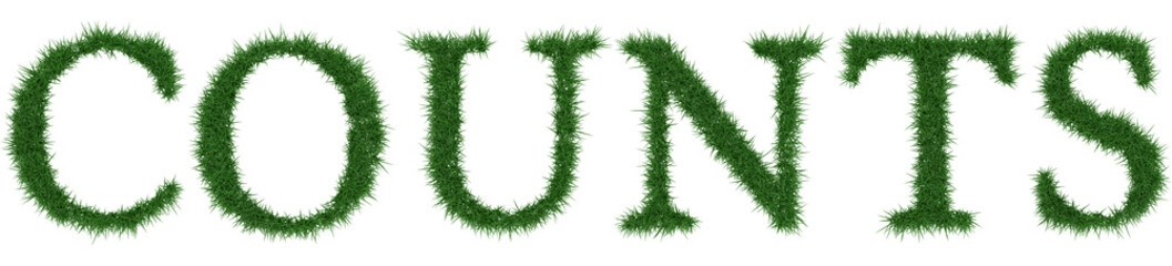 Counts - 3D rendering fresh Grass letters isolated on whhite background.