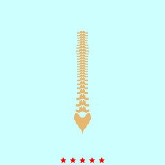 Human spine it is icon .