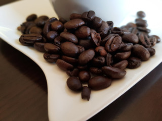 Ger&ouml;stete Bohnen