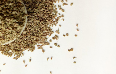 Celery Seeds
