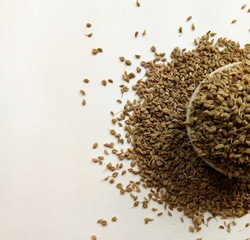 Celery Seeds