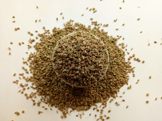 Celery Seeds