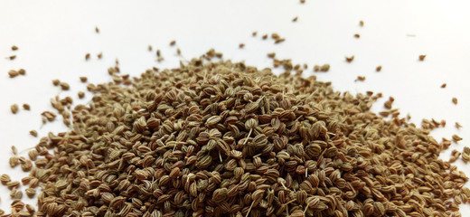 Celery Seeds