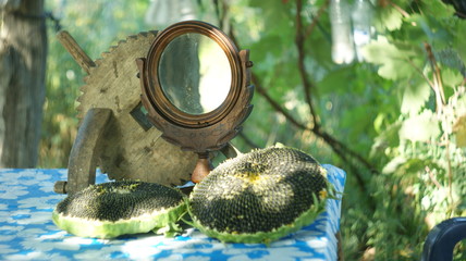 SONY DSC