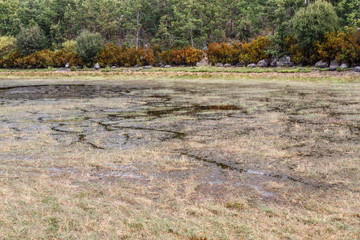 Laguna de Carros. Parque Natural del Lago de Sanabria y alrededores, Zamora.