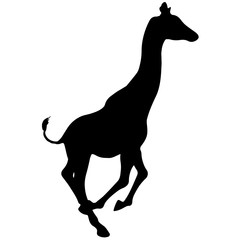 black silhouette of a giraffe. isolated vector illustration