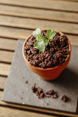 chocolate ice cream with mint