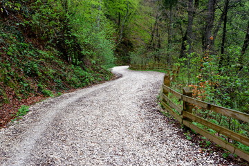 Road to the winter and touristic station Poiana Brasov, 12 km from Brasov, a town situated in...