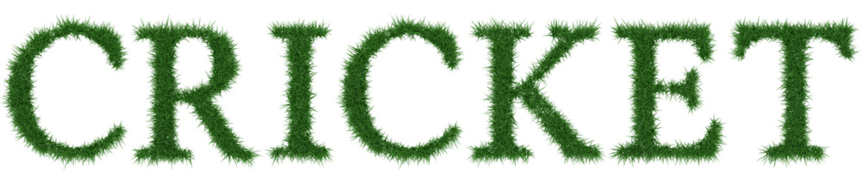 Cricket - 3D rendering fresh Grass letters isolated on whhite background.