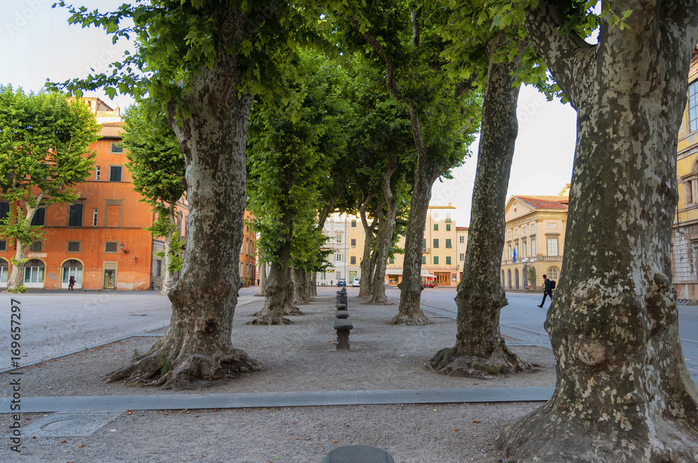 Wall mural Piazza Napoleone (Napoleone square) in Lucca, Tuscany, Italy