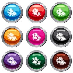 Steak set 9 collection