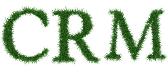 Crm - 3D rendering fresh Grass letters isolated on whhite background.