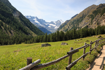 Fototapeta na wymiar sentiero verso il rifugio Vittorio Sella - Parco Nazionale del Gran Paradiso