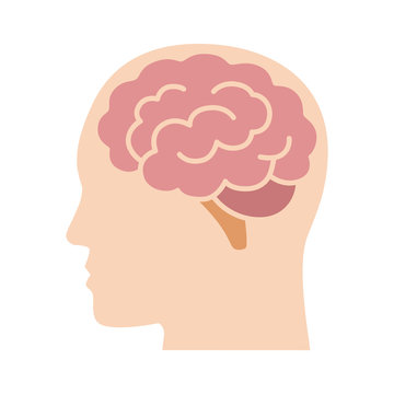 Brain or mind side view inside head flat vector color icon for medical apps and websites