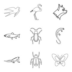 Moth icons set, outline style