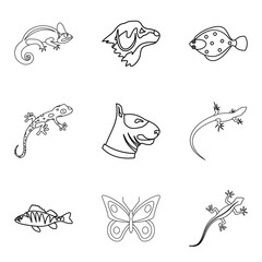 Chameleon icons set, outline style