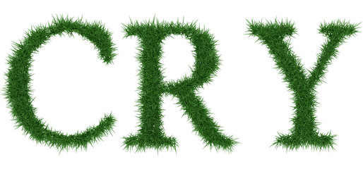 Cry - 3D rendering fresh Grass letters isolated on whhite background.