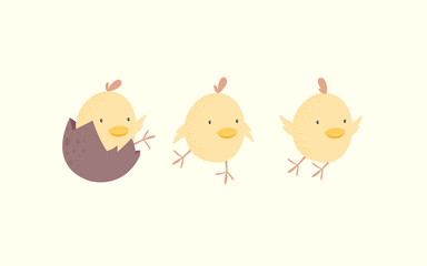 chicken and egg, Cute chick wallpaper. Yellow chicken background, flying bird, rooster
