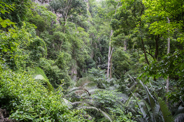 landscape at huppatat   in Uthai Thani