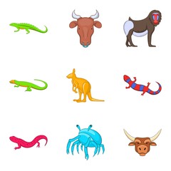 Australian animal icons set, cartoon style