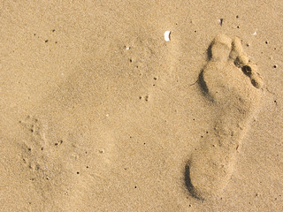 single footprint long the shoreline