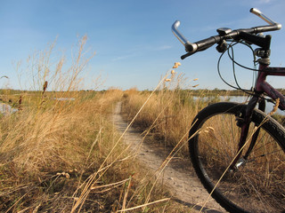 cycling in sunny day in the lagoon of Venice © TonelloPhotography
