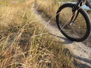 Fototapeta premium cycling in sunny day in the lagoon of Venice