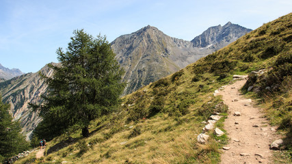 sentiero verso il rifugio Vittorio Sella - Parco Nazionale del Gran Paradiso