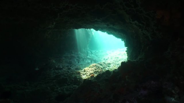 Inside a small cavern underwater with sunlight on the exit, Mediterranean sea, natural scene, Catalonia, Cap de Creus, Cadaques, Costa Brava, Spain, 60fps
