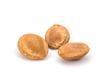 Apricot kernel