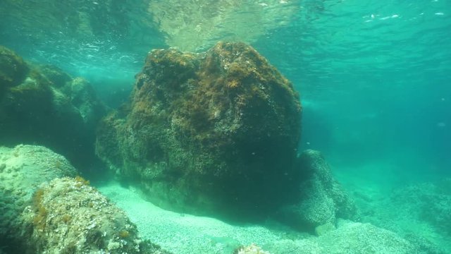 Underwater rock below sea surface in the Mediterranean sea, natural light, Catalonia, Roses, Costa Brava, Spain, 60fps
