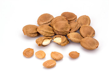 Apricot kernel