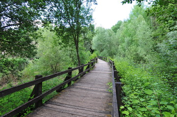 Obraz premium Phillipsruhe, Mülheim & Steinheim - Germany