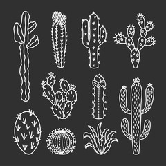 Cute cactus illustrations. Hand drawn outline cacti and succulents drawings © redchocolatte