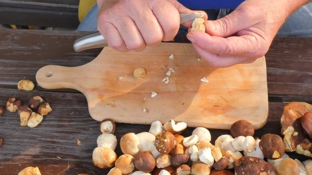 Cleaning of wild mushroom with kitchen knife in old hands. Man hands take carefully mushroom and remove clay or roots from stem