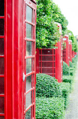 Obraz premium British red telephone box with old fashioned with green tree background in London, United Kingdom