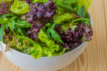 Salad leaves, purple lettuce, spinach, arugula. Mixed fresh salad in a white bowl