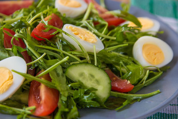 Fresh green salad with arugula, tomatoes, eggs and cucumber