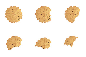  Bitten  chip cookie vector illustration set